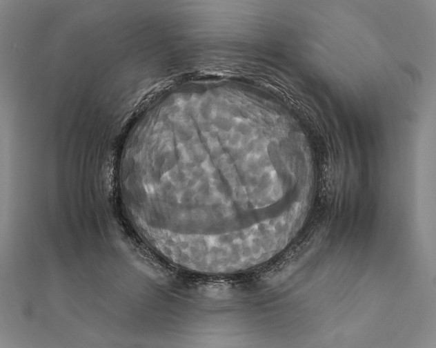 X0000111120600200907281030