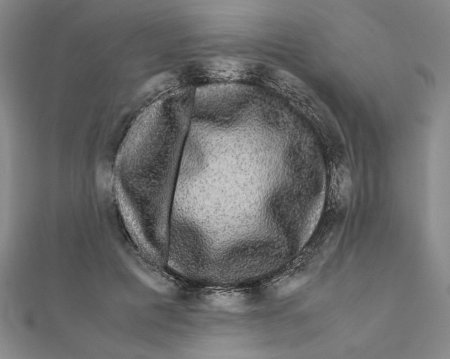 X0000111120601200907281030
