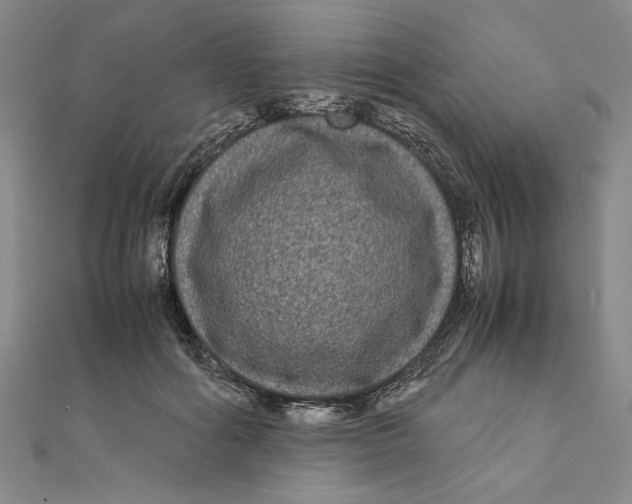 X0000111120602200907281030