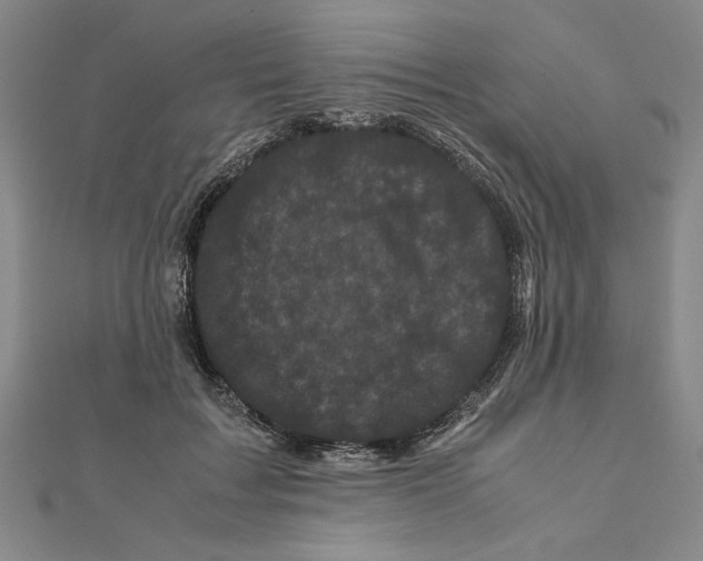 X0000111120603200907281030