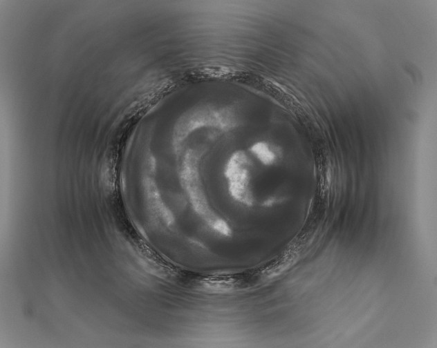 X0000111120606200907281030