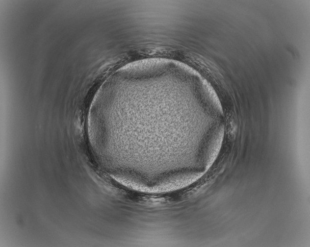 X0000111120607200907281030