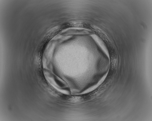 X0000111120609200907281030