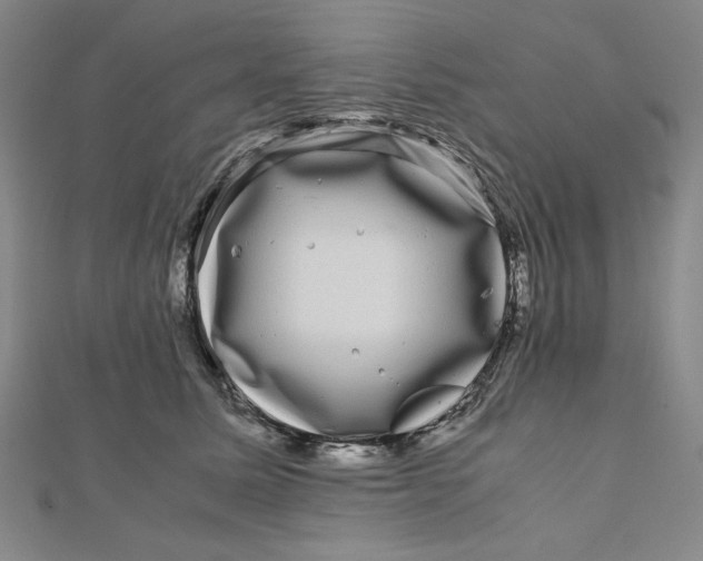 X0000111120611200907281030