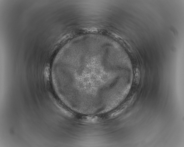 X0000111120612200907281030