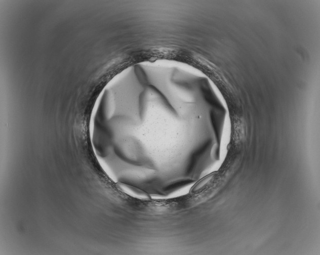 X0000111120613200907281030