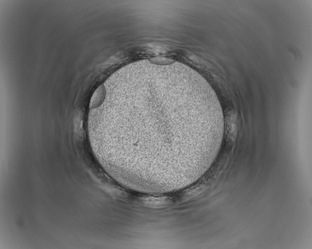 X0000111120615200907281030