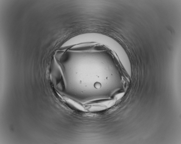 X0000111120617200907281030