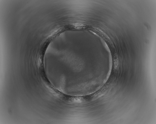 X0000111120618200907281030