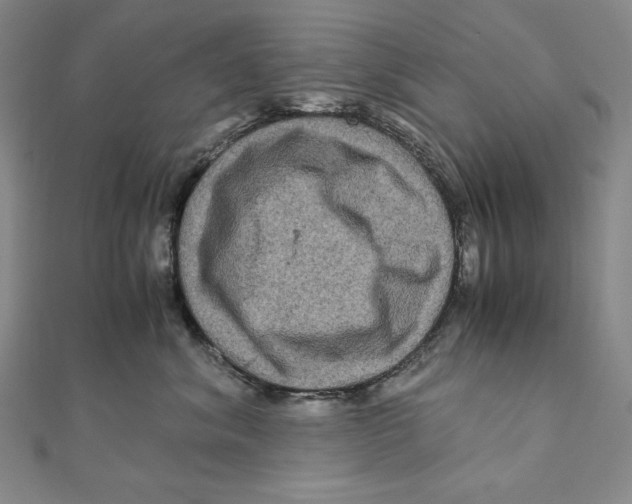 X0000111120620200907281030