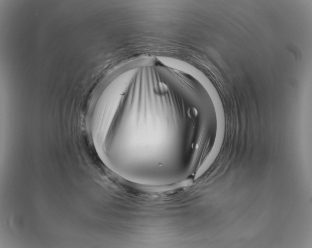 X0000111120621200907281030