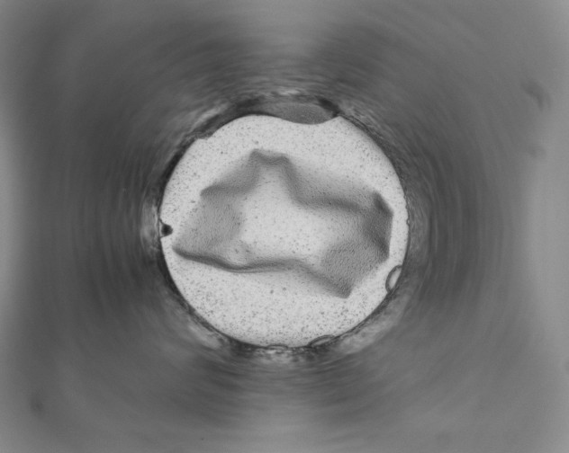 X0000111120624200907281030