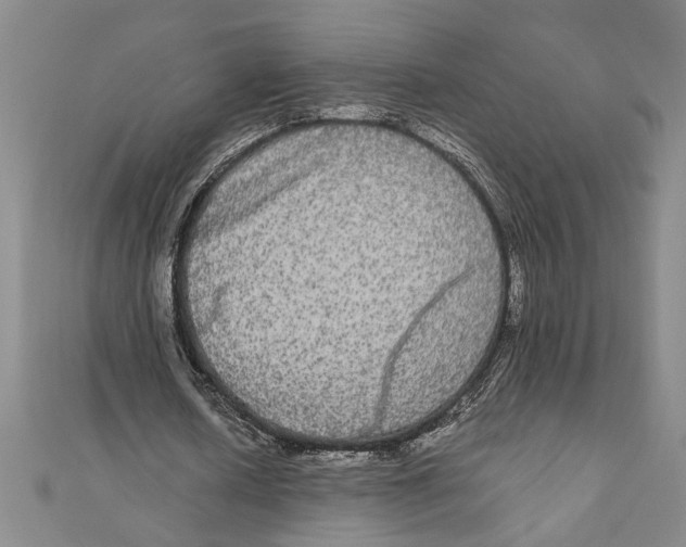 X0000111120626200907281030