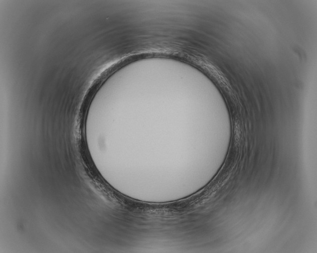 X0000111120628200907281030
