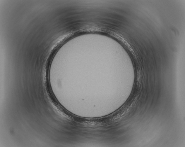 X0000111120629200907281030