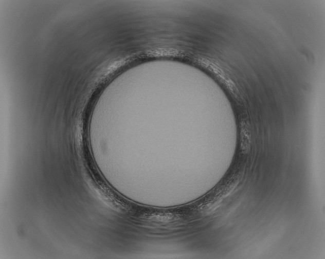 X0000111120631200907281030