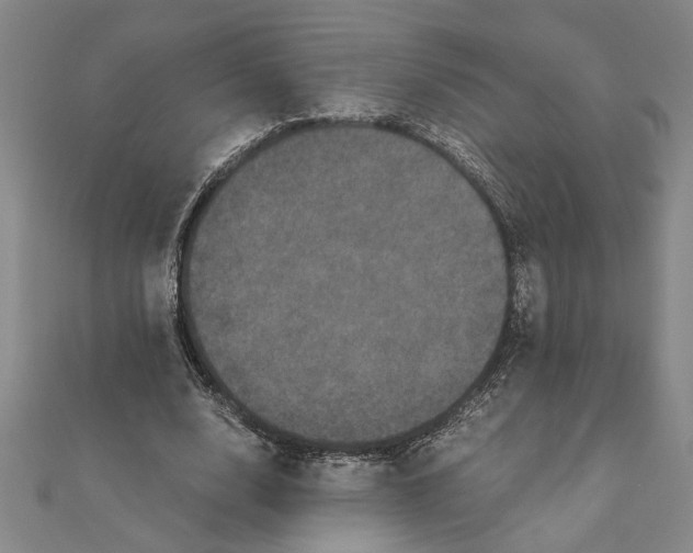 X0000111120632200907281030