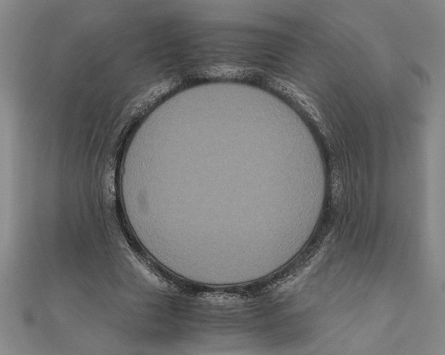 X0000111120633200907281030