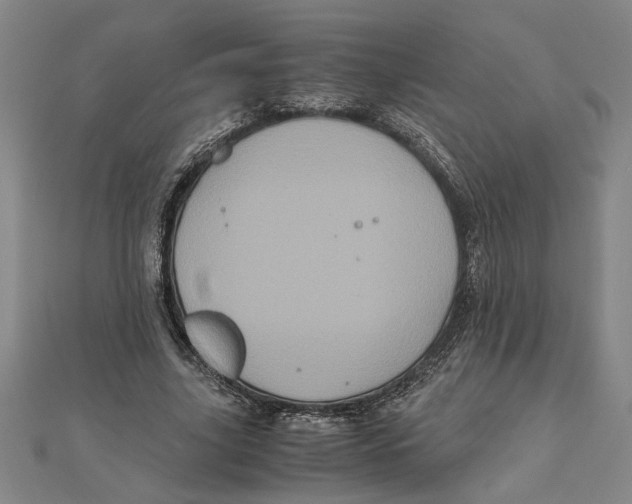 X0000111120635200907281030