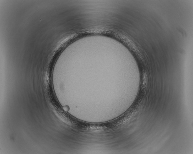 X0000111120636200907281030
