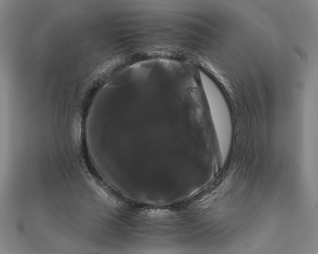 X0000111120637200907281030