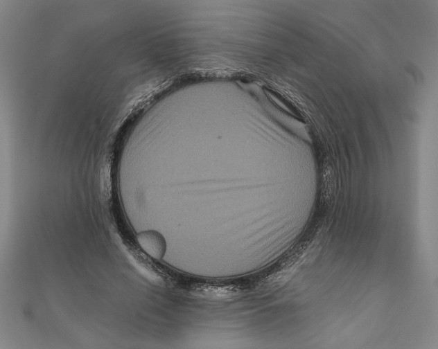 X0000111120638200907281030