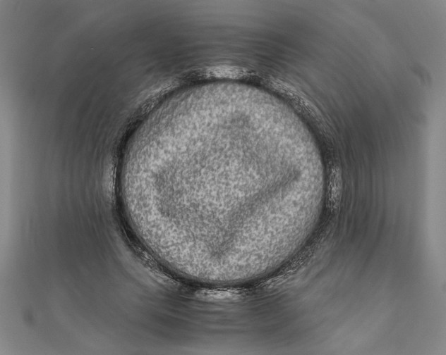 X0000111120639200907281030