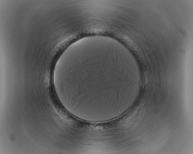 X0000111120640200907281030