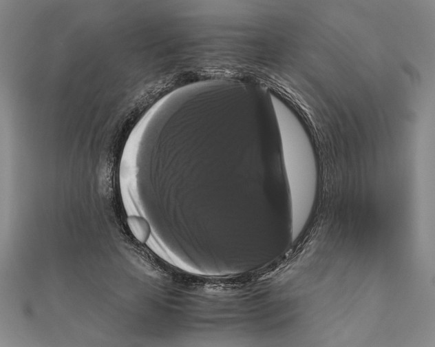 X0000111120641200907281030
