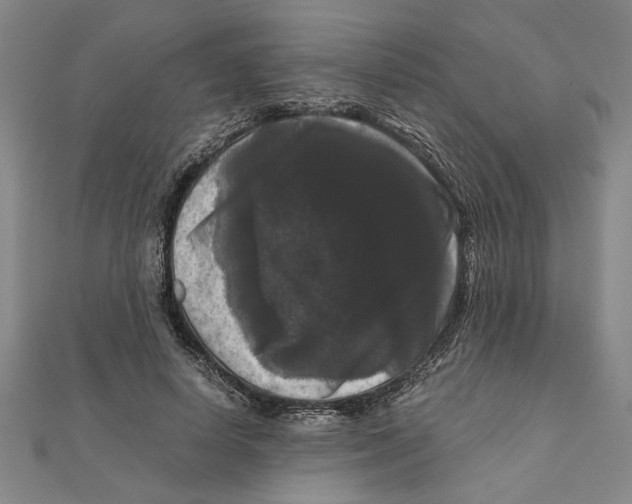 X0000111120642200907281030