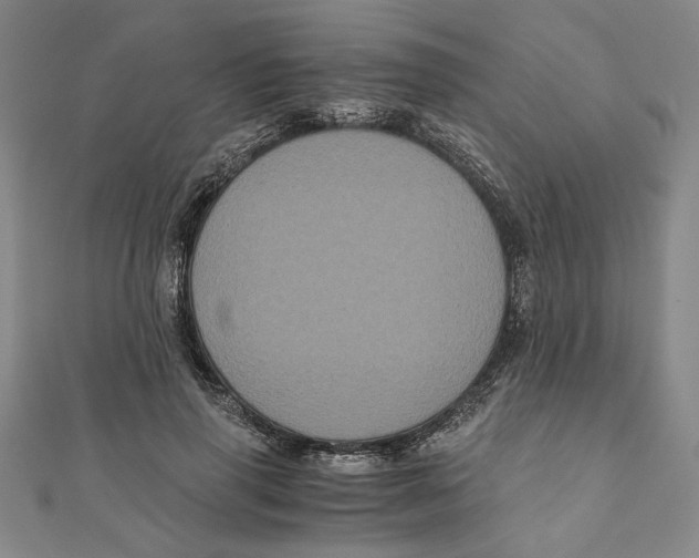 X0000111120645200907281030