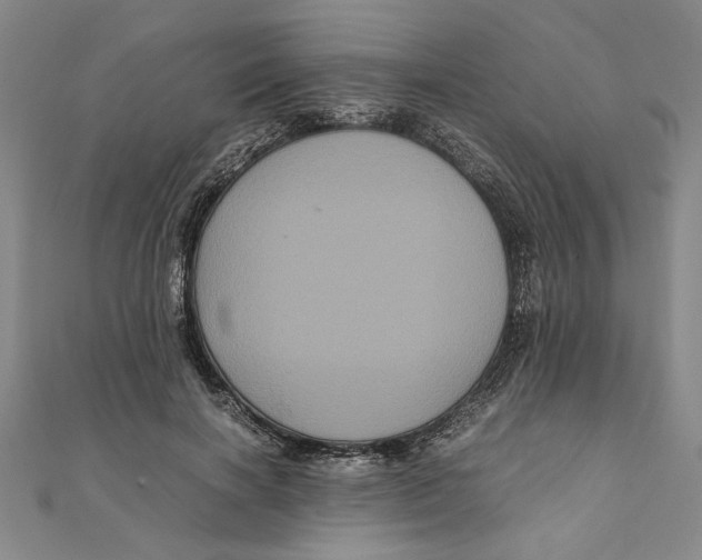 X0000111120646200907281030