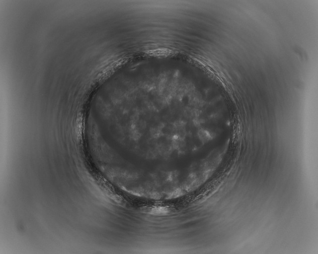 X0000111120647200907281030