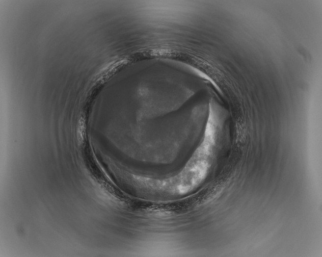 X0000111120648200907281030