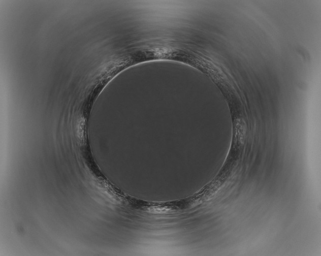 X0000111120650200907281030