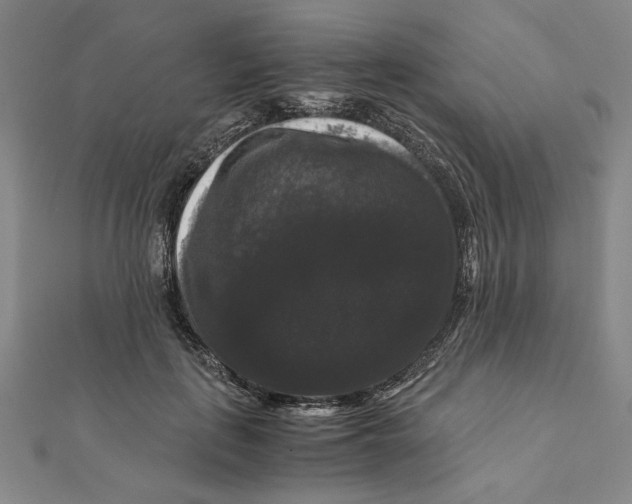 X0000111120651200907281030