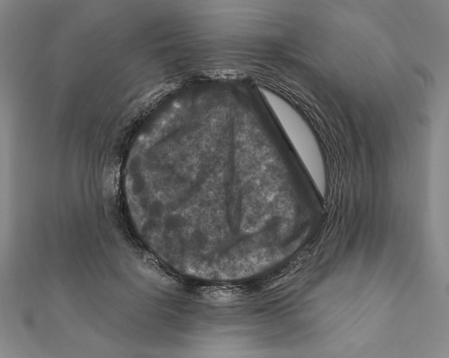 X0000111120652200907281030