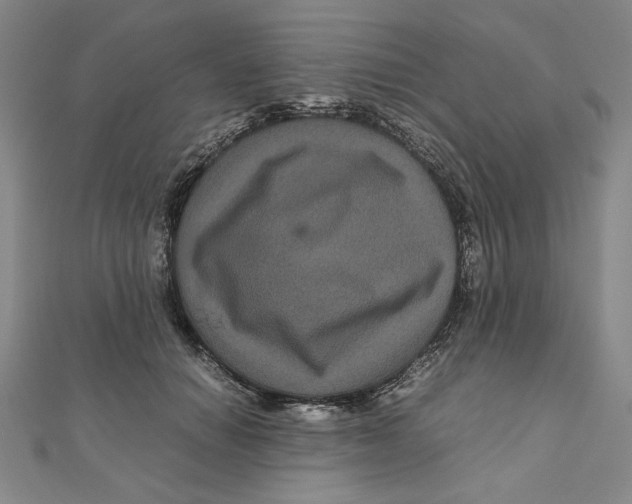 X0000111120654200907281030