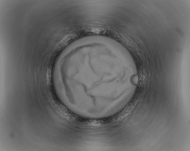 X0000111120656200907281030