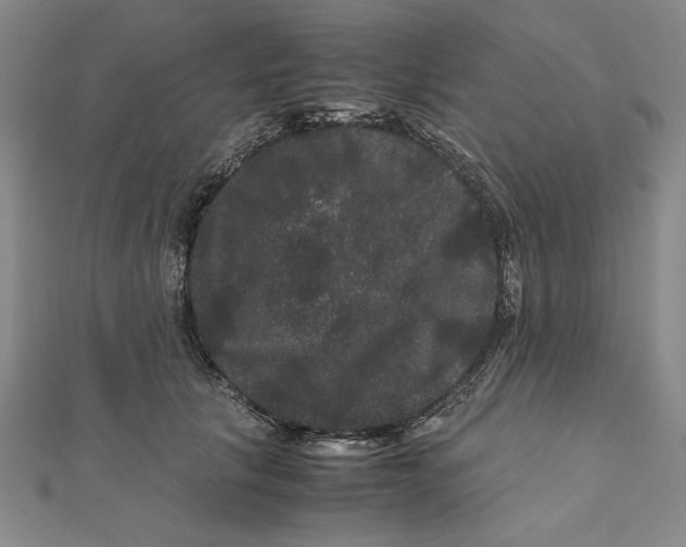 X0000111120657200907281030