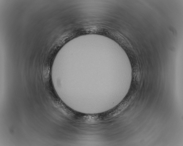 X0000111120660200907281030