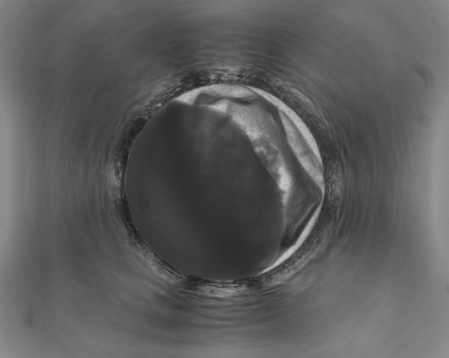 X0000111120661200907281030