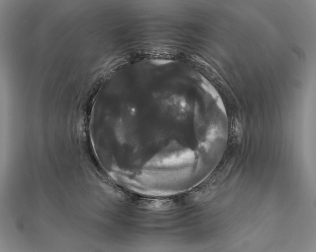 X0000111120663200907281030