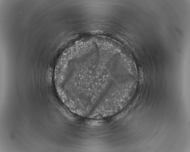 X0000111120664200907281030