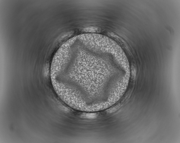 X0000111120665200907281030