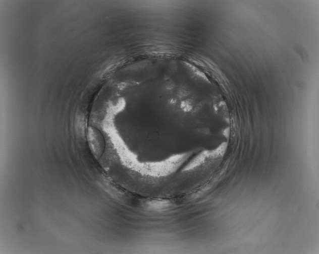 X0000111120669200907281030