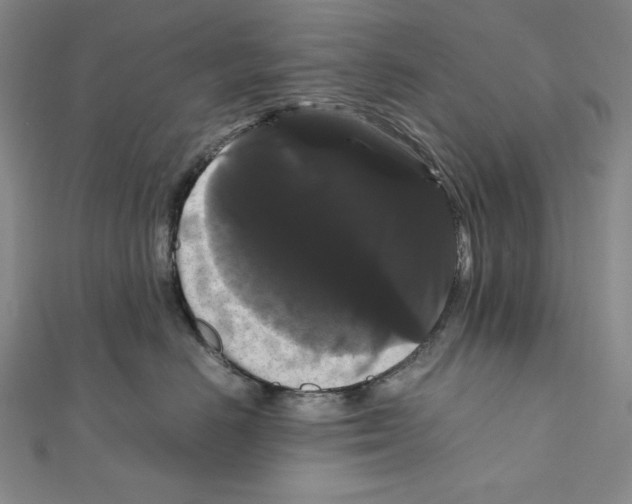 X0000111120670200907281030