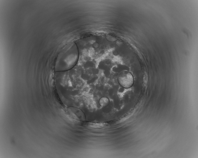 X0000111120671200907281030
