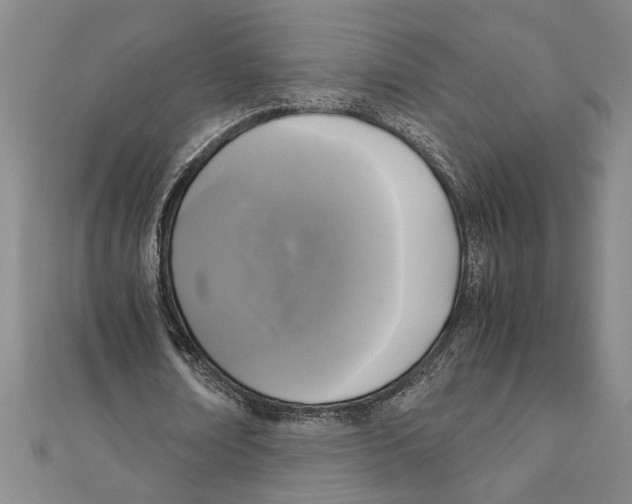 X0000111120674200907281029