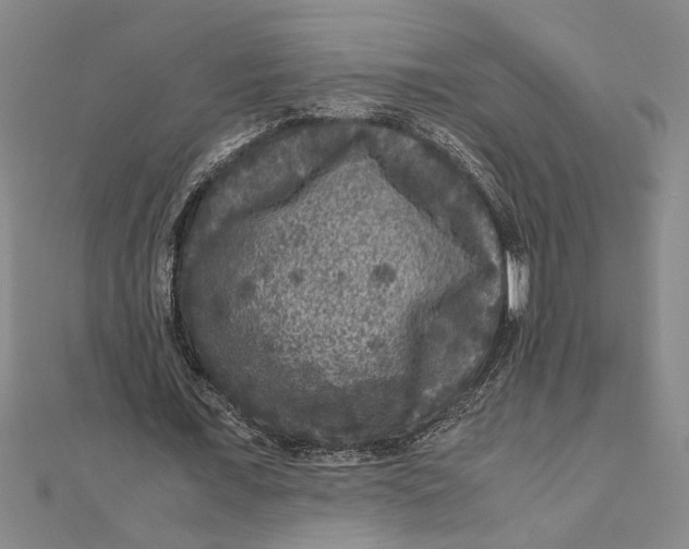 X0000111120675200907281029